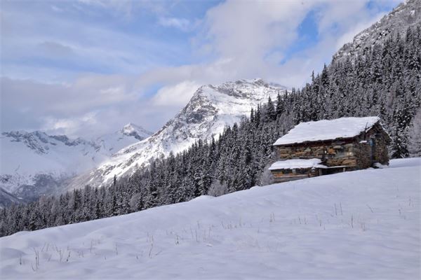 Rif. Lago Palù – Valmalenco (SO)