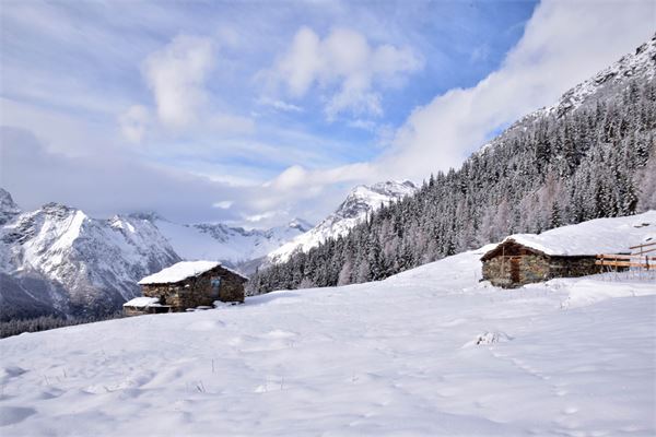 Rif. Lago Palù – Valmalenco (SO)