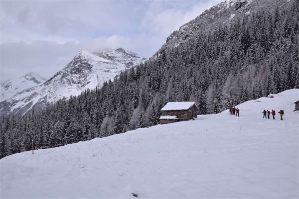 Rif. Lago Palù – Valmalenco (SO)