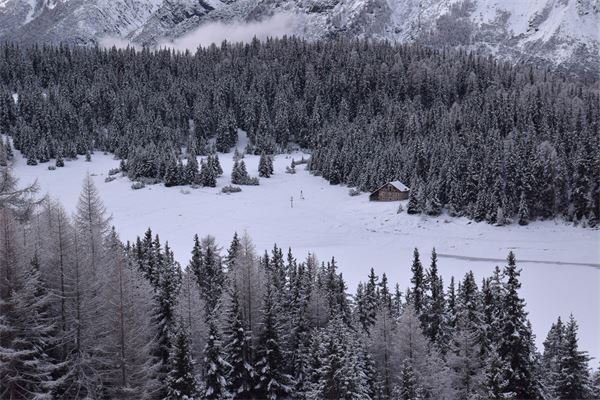 Rif. Lago Palù – Valmalenco (SO)