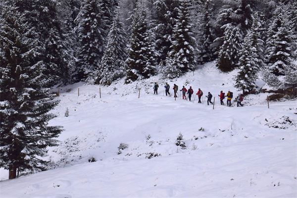 Rif. Lago Palù – Valmalenco (SO)