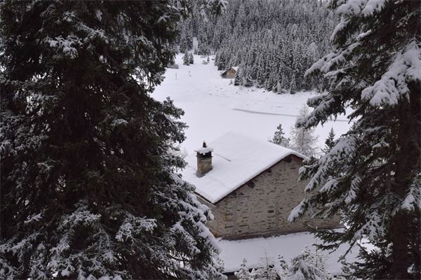 Rif. Lago Palù – Valmalenco (SO)