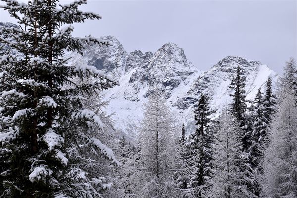 Rif. Lago Palù – Valmalenco (SO)