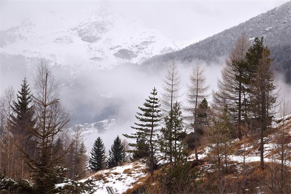 Rif. Lago Palù – Valmalenco (SO)