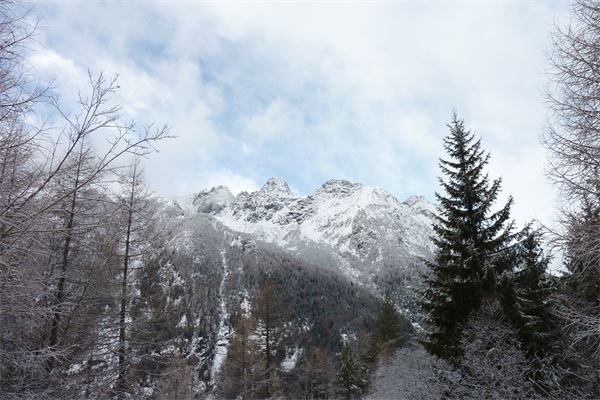 Rif. Lago Palù – Valmalenco (SO)