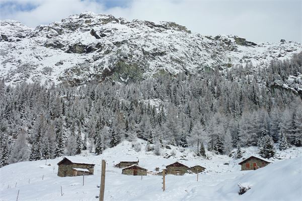 Rif. Lago Palù – Valmalenco (SO)