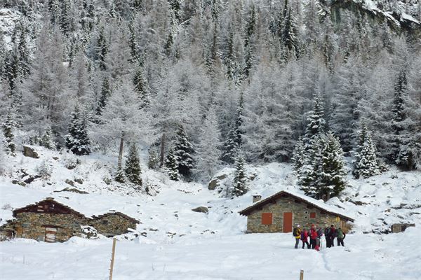 Rif. Lago Palù – Valmalenco (SO)