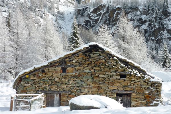 Rif. Lago Palù – Valmalenco (SO)