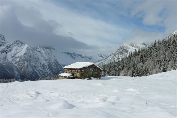 Rif. Lago Palù – Valmalenco (SO)