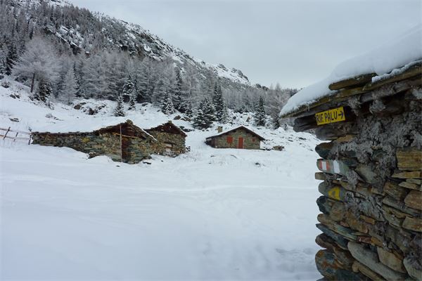 Rif. Lago Palù – Valmalenco (SO)