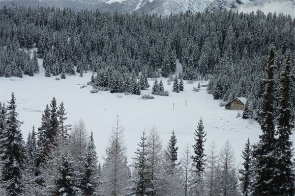 Rif. Lago Palù – Valmalenco (SO)