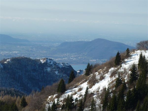 Rif. Almici (BS)
