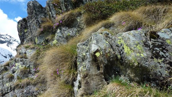 Rifugio Andolla (VB)