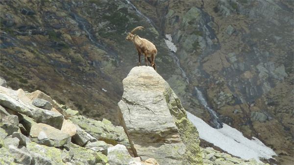 Rifugio Andolla (VB)