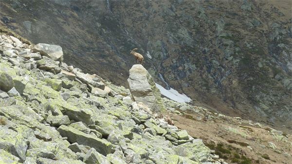 Rifugio Andolla (VB)