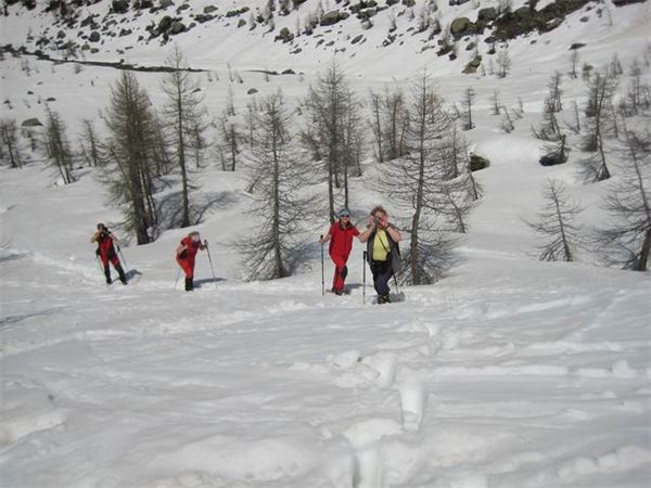 Rifugio Porro (SO)