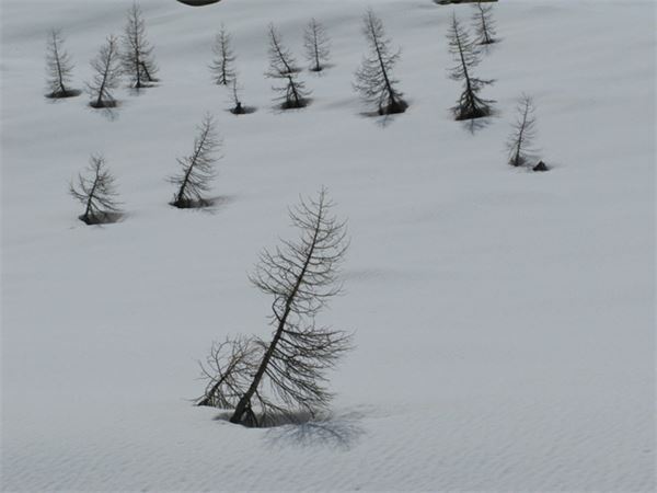 Rifugio Porro (SO)