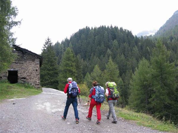 Rif. Longo (BG)