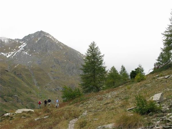 Rif. Longo (BG)
