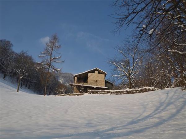 Rif. Riva (LC)