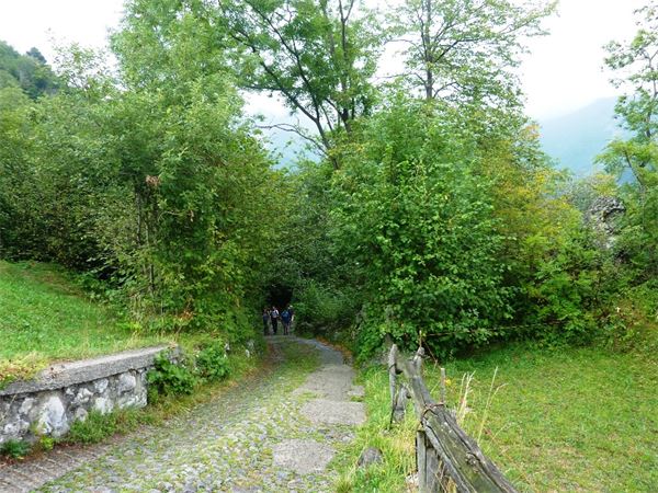 San Calimero (LC)