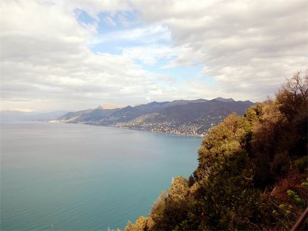 Monti della Liguria