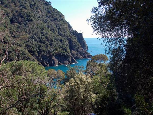 Monti della Liguria