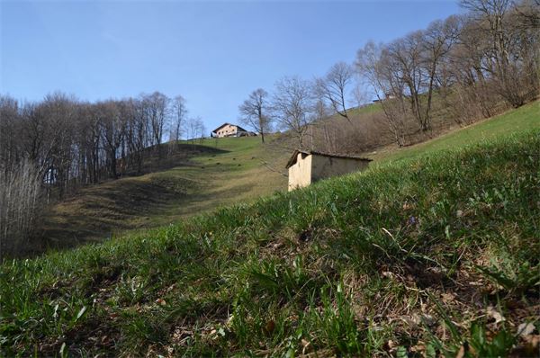 Anello San Calimero (LC)