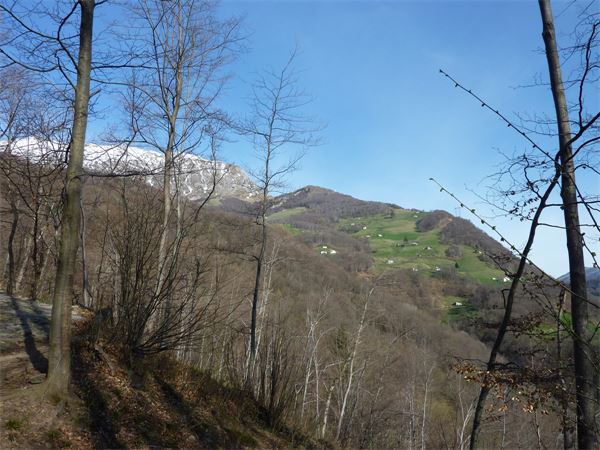 Anello San Calimero (LC)