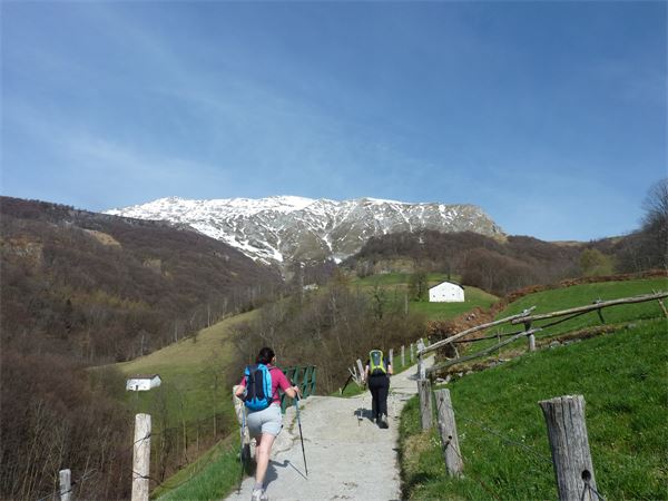 Anello San Calimero (LC)
