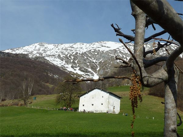 Anello San Calimero (LC)
