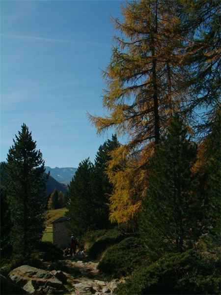 Valle di Campo (SO)
