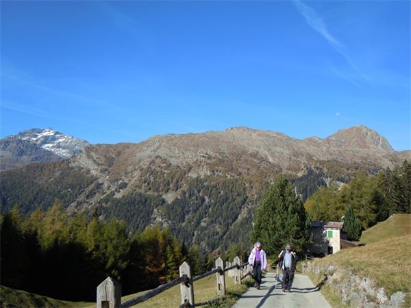 Valle di Campo (SO)