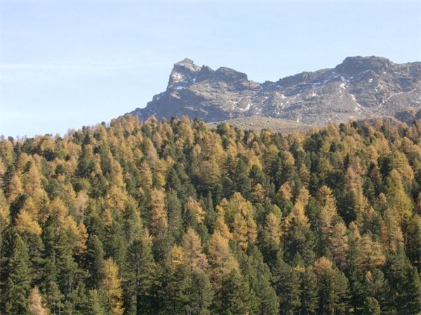 Valle di Campo (SO)
