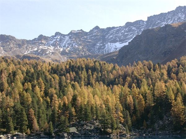 Valle di Campo (SO)
