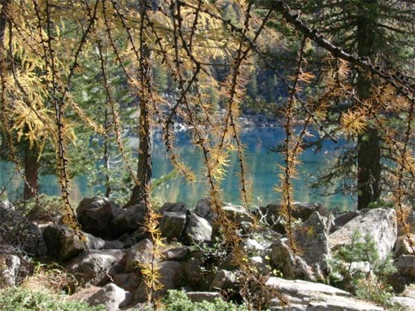 Valle di Campo (SO)