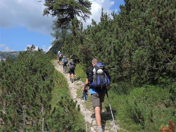 Trekking