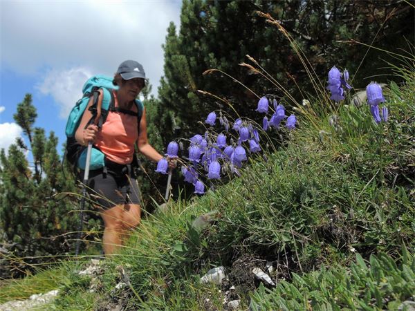 Trekking