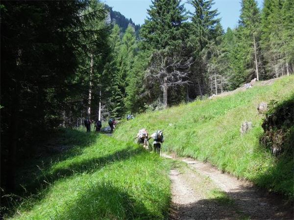 TREKKING ALTA VIA DEI PASTORI - DOLOMITI