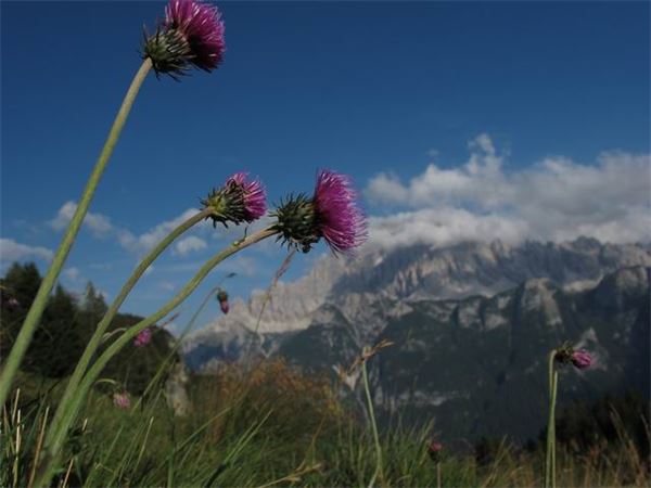 TREKKING ALTA VIA DEI PASTORI - DOLOMITI