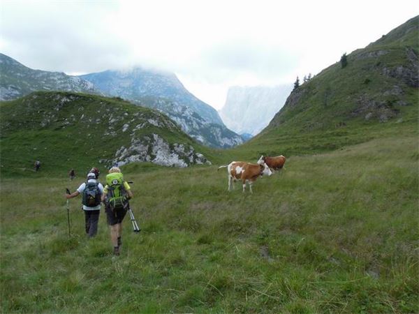 TREKKING ALTA VIA DEI PASTORI - DOLOMITI