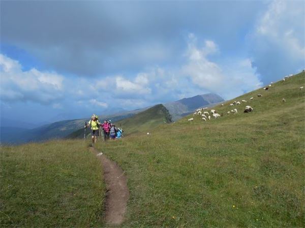 TREKKING ALTA VIA DEI PASTORI - DOLOMITI