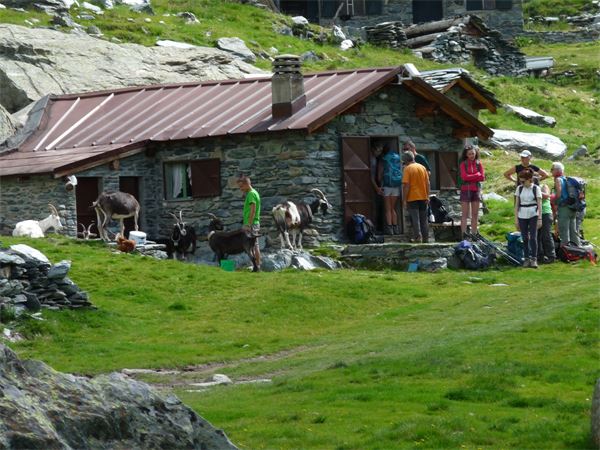 Trekking Alta Via della Val Malenco