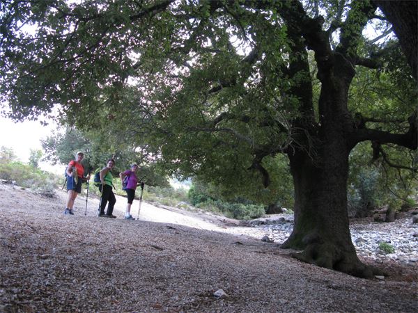Trekking Sardegna