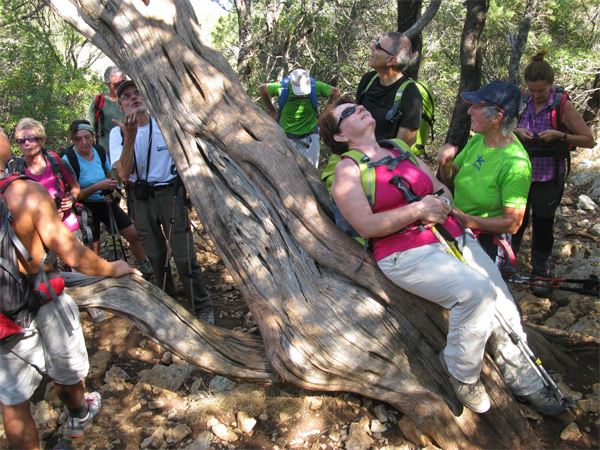 Trekking Sardegna