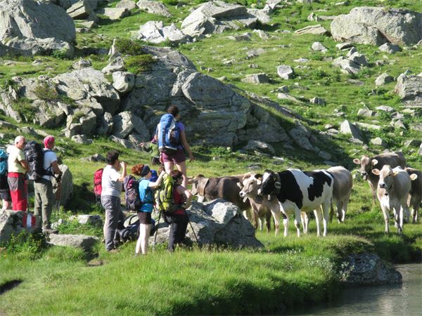 Trekking 2014 "LE VALLI OSSOLANE"