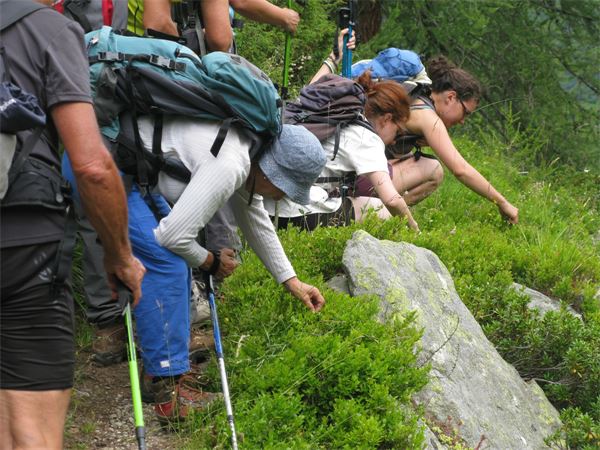 Trekking 2014 "LE VALLI OSSOLANE"