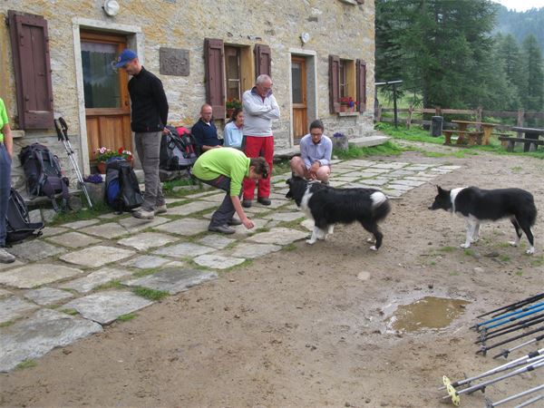 Trekking 2014 "LE VALLI OSSOLANE"