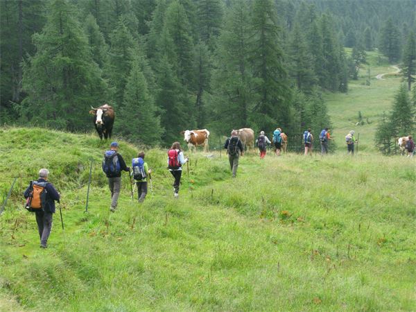 Trekking 2014 "LE VALLI OSSOLANE"