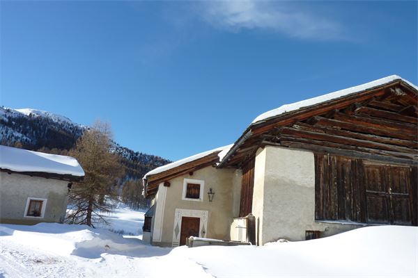 Sils Maria - Val di Fex (CH)